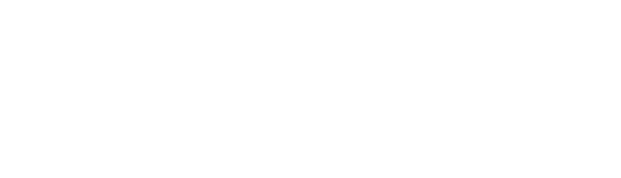 BPI France
